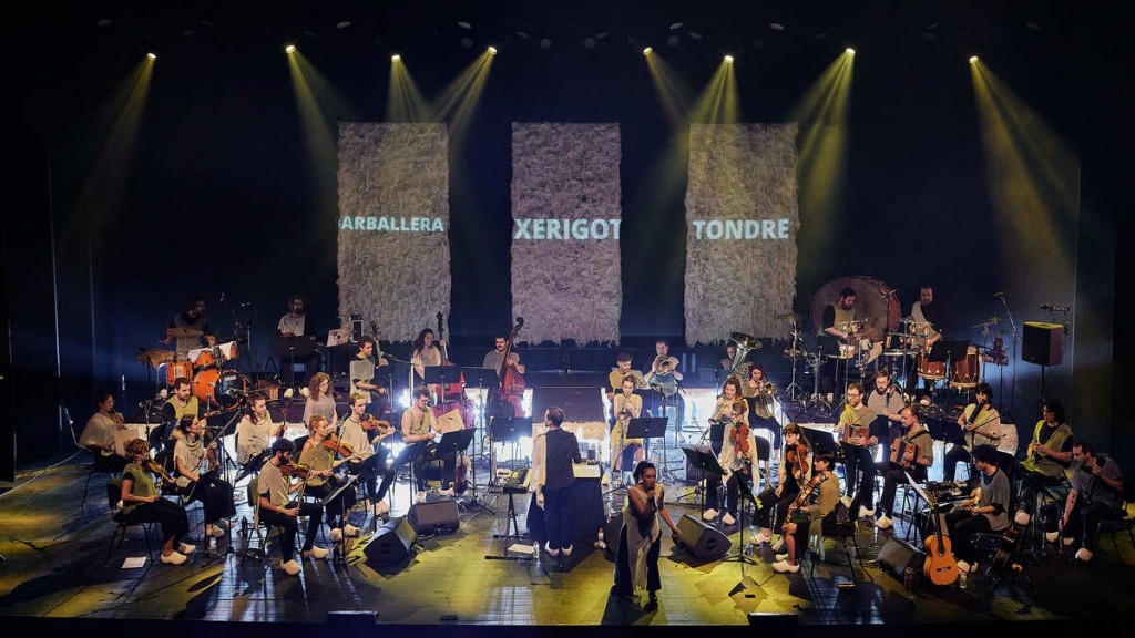 Orquestra de M�siques d'Arrel de Catalunya I TR�D al Palau