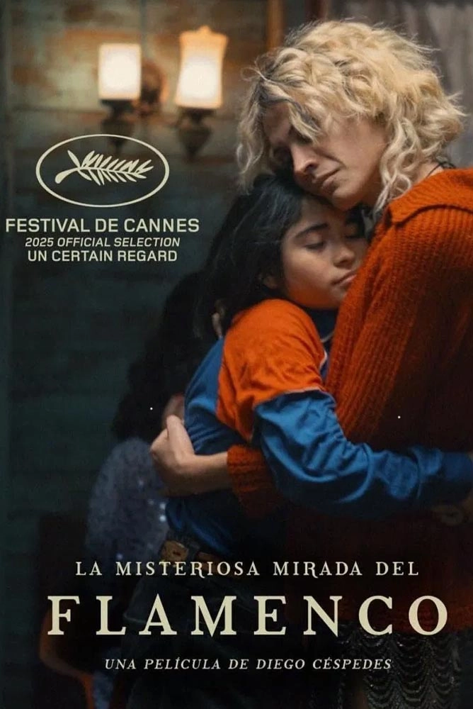 La misteriosa mirada del flamenco