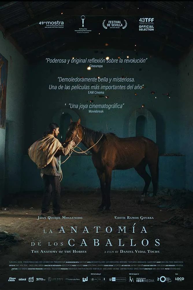 La anatom�a de los caballos