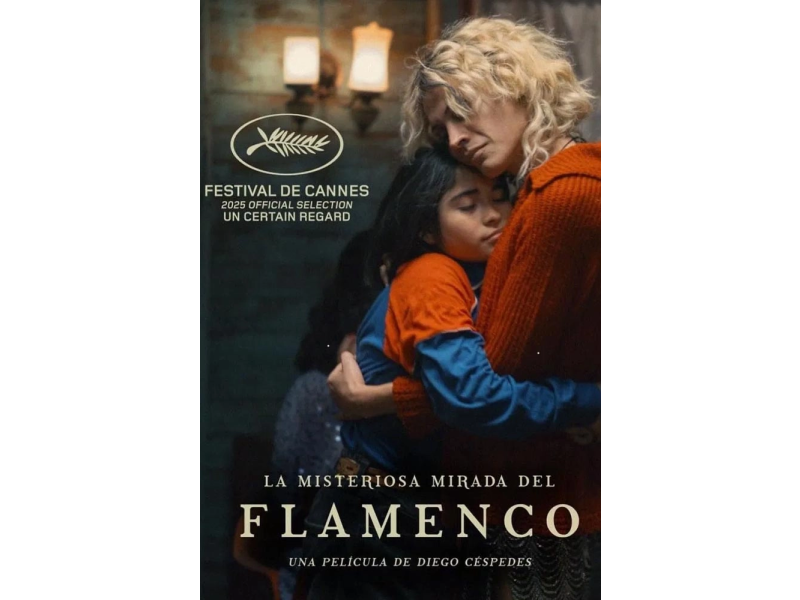 La misteriosa mirada del flamenco