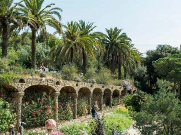Actividades gratuitas en el Park Güell: ¡Conéctate con la naturaleza! Actividades gratuitas en el Park Güell: ¡Conéctate con la naturaleza!